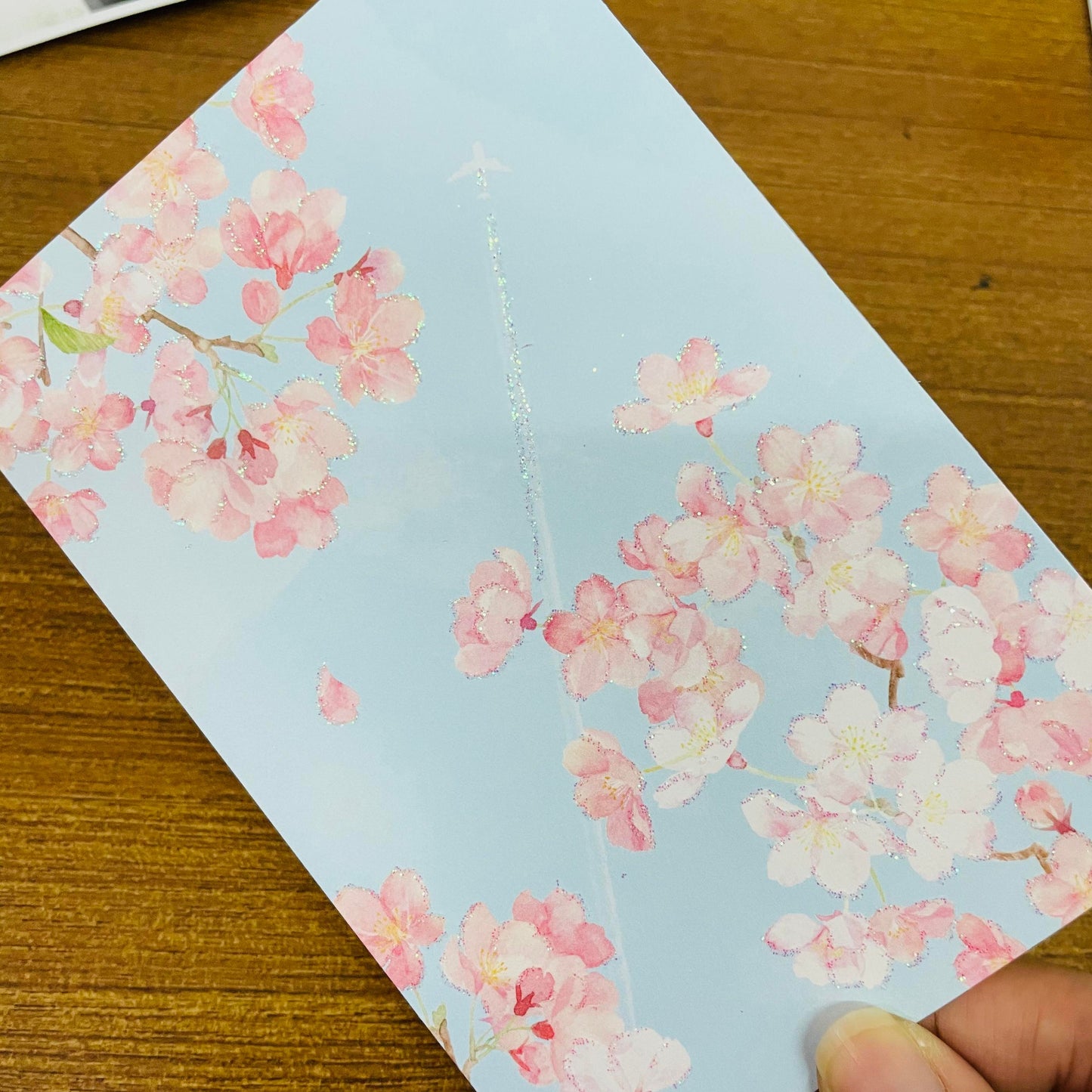 Sanrio Glittering Airplane Sky Sakura Scenery Postcard