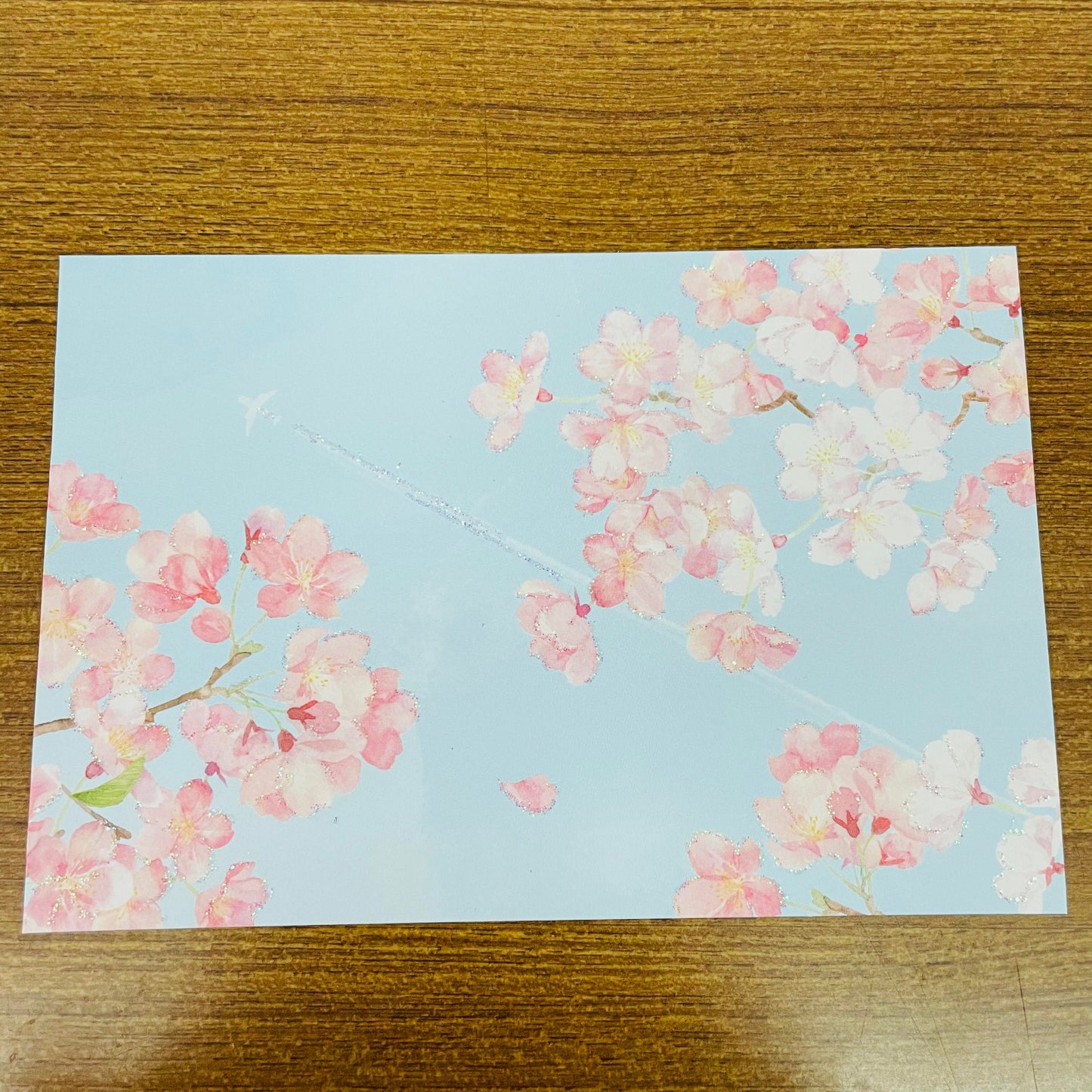Sanrio Glittering Airplane Sky Sakura Scenery Postcard