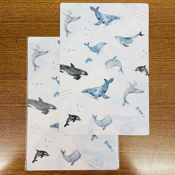 Pion Watercolor Whales Everywhere Postcards