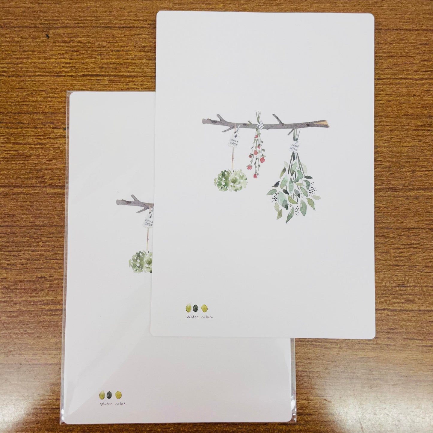 Pion Watercolor Simple Greens Postcards