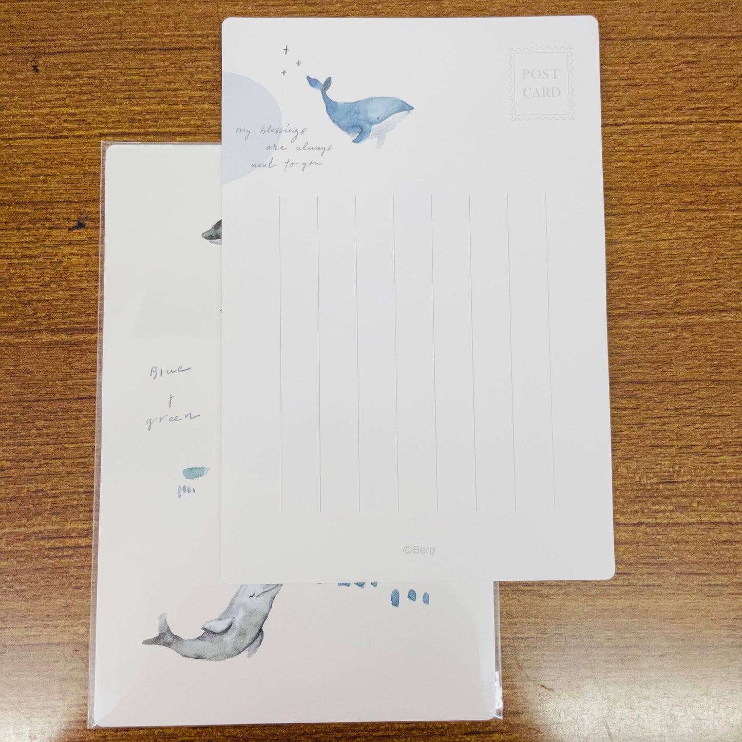 Pion Watercolor Simple Whales Postcards