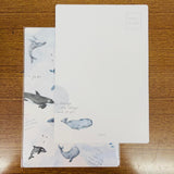 Pion Watercolor Whales Everywhere Postcards