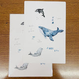 Pion Watercolor Simple Whales Postcards