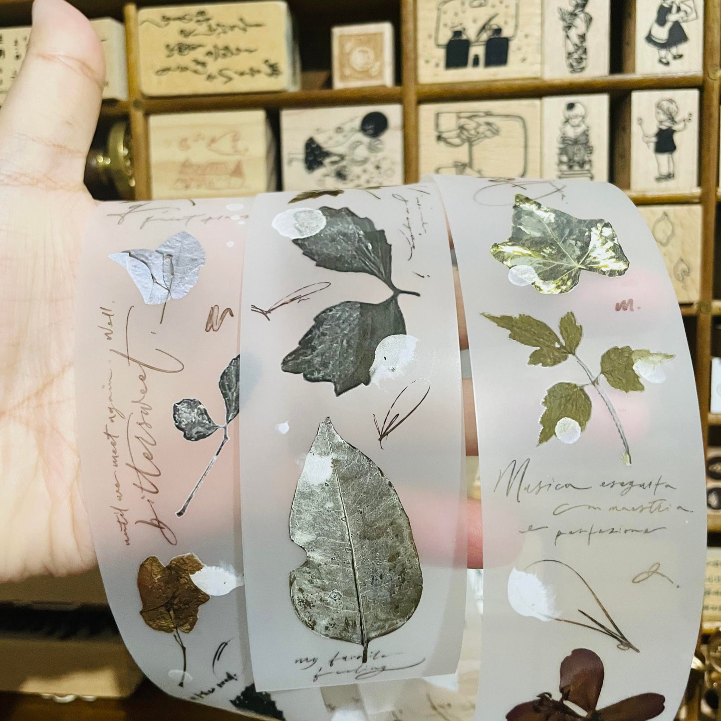 [Samples Only] Mr.Eggplants Old Leaves PET Tape