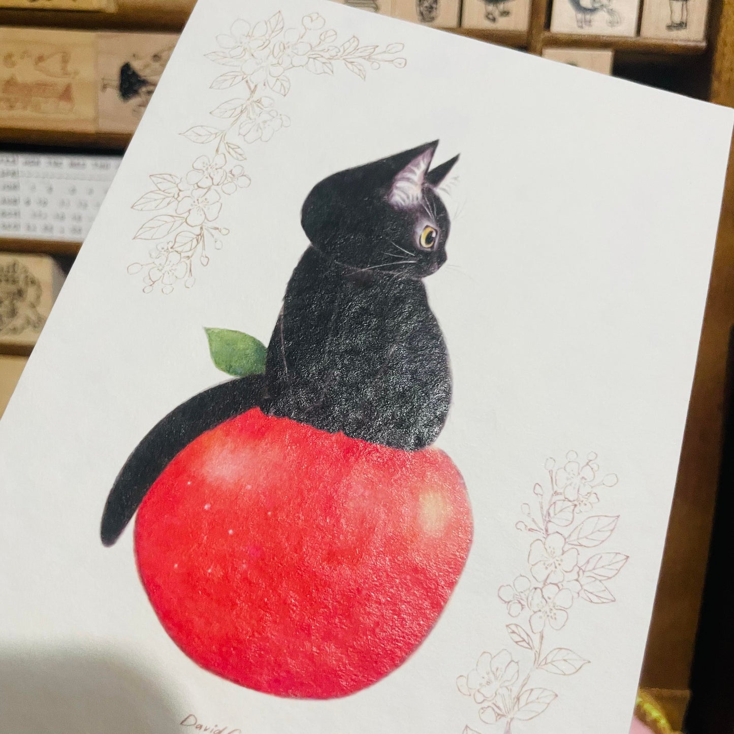 Davidcookslove Apple Postcard