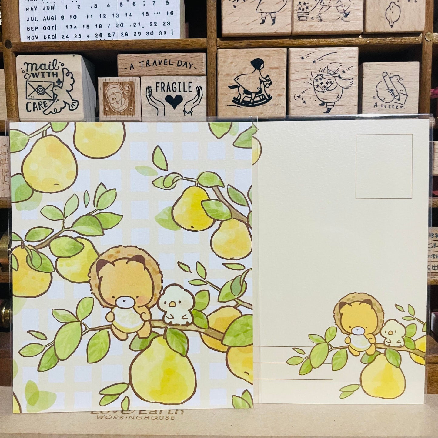 Little Popcorn Grapefruit Postcard