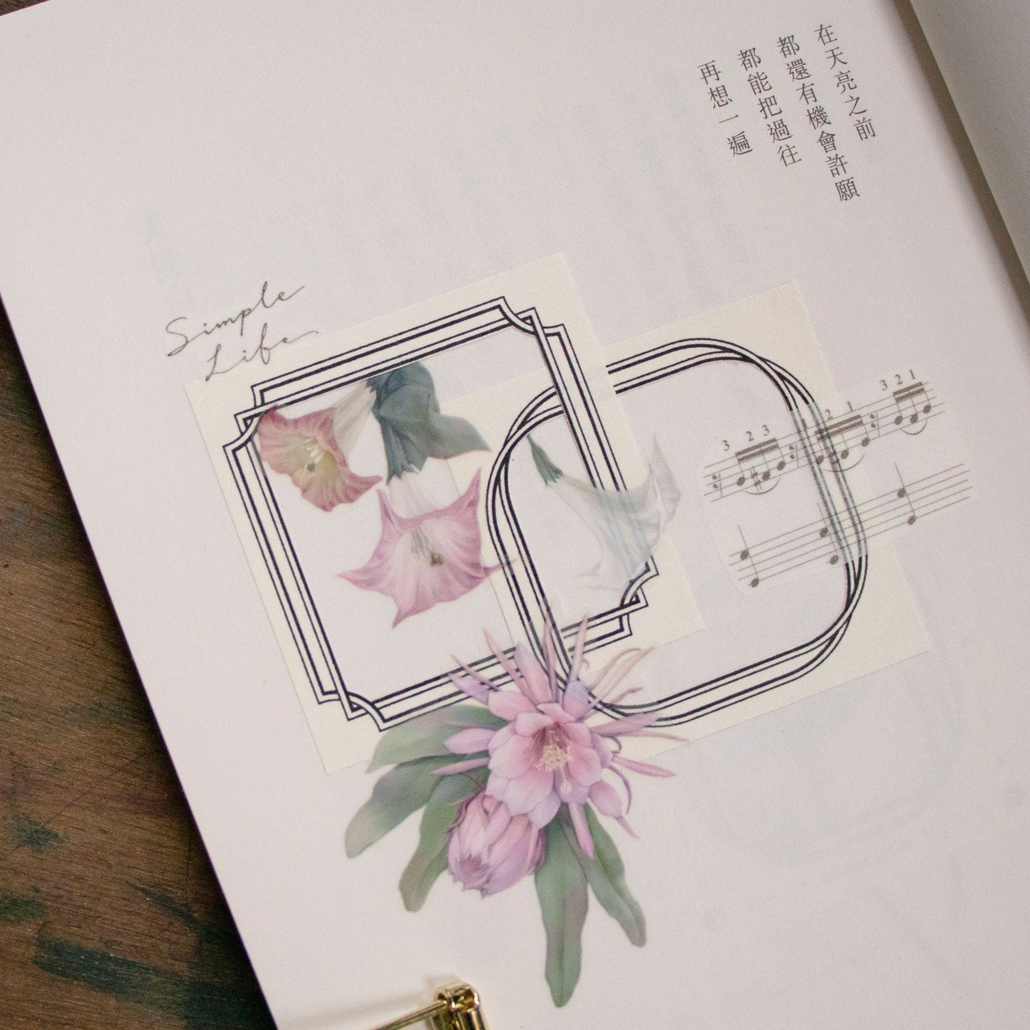 [SAMPLE] 90cm Loidesign Epiphyllum PET Tape