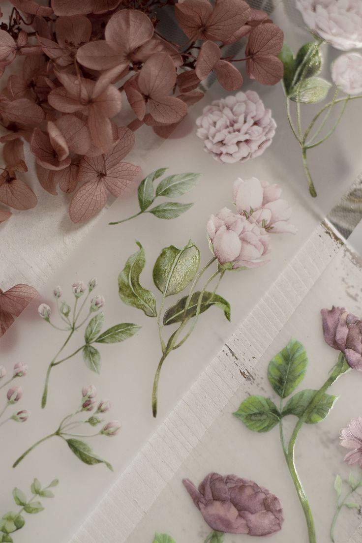 [SAMPLE] 90cm Loidesign Rose PET Tape