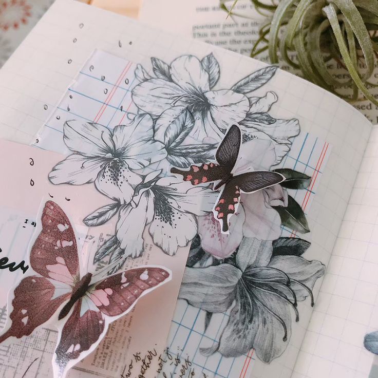 [SAMPLE] 90cm Loidesign Azalea PET Tape