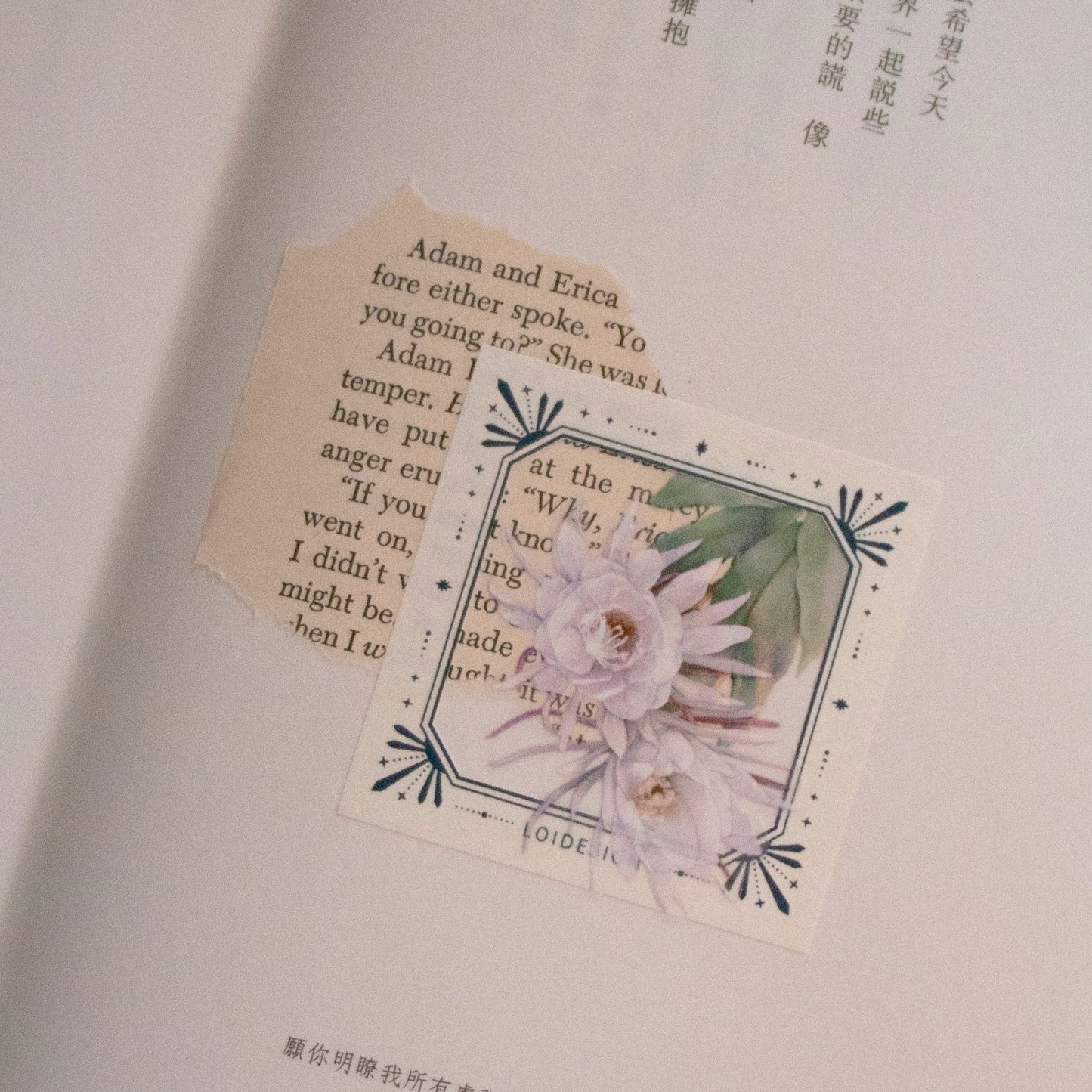 [SAMPLE] 90cm Loidesign Epiphyllum PET Tape