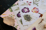 OURS Studio Varies Flowers Sticker Pack