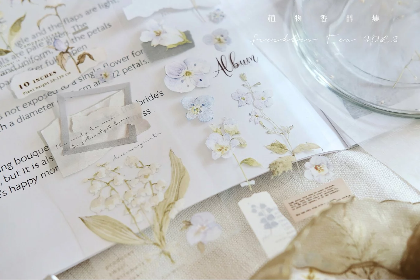 Freckles Tea Lily of the Valley PET Tape Samples and Full Roll
