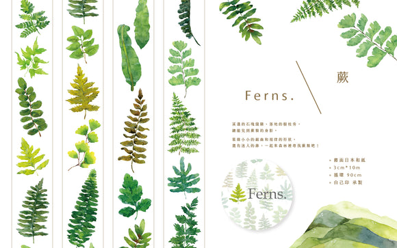 OURS Studio Fern Washi Masking Tape Roll and Samples