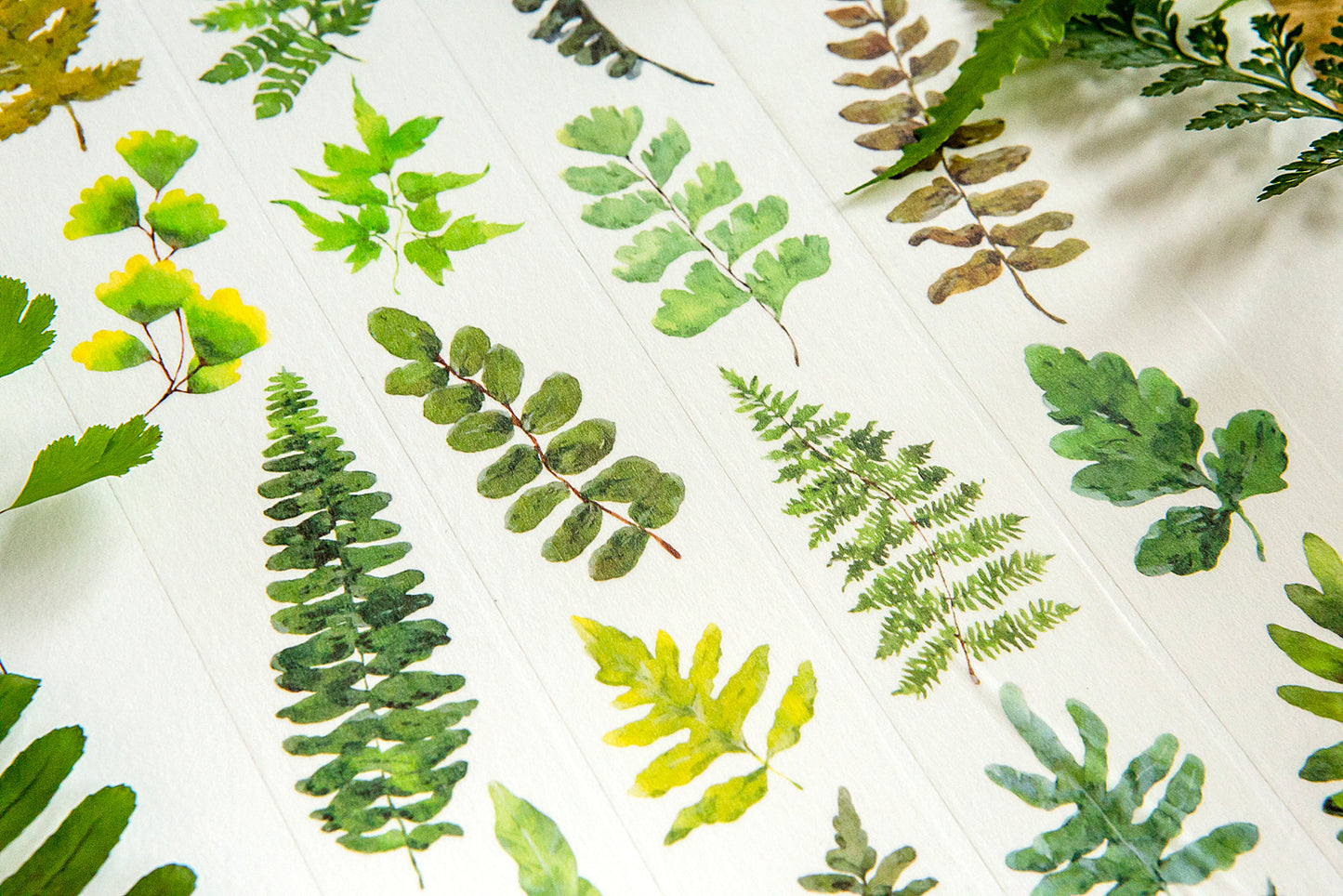 OURS Studio Fern Washi Masking Tape Roll and Samples