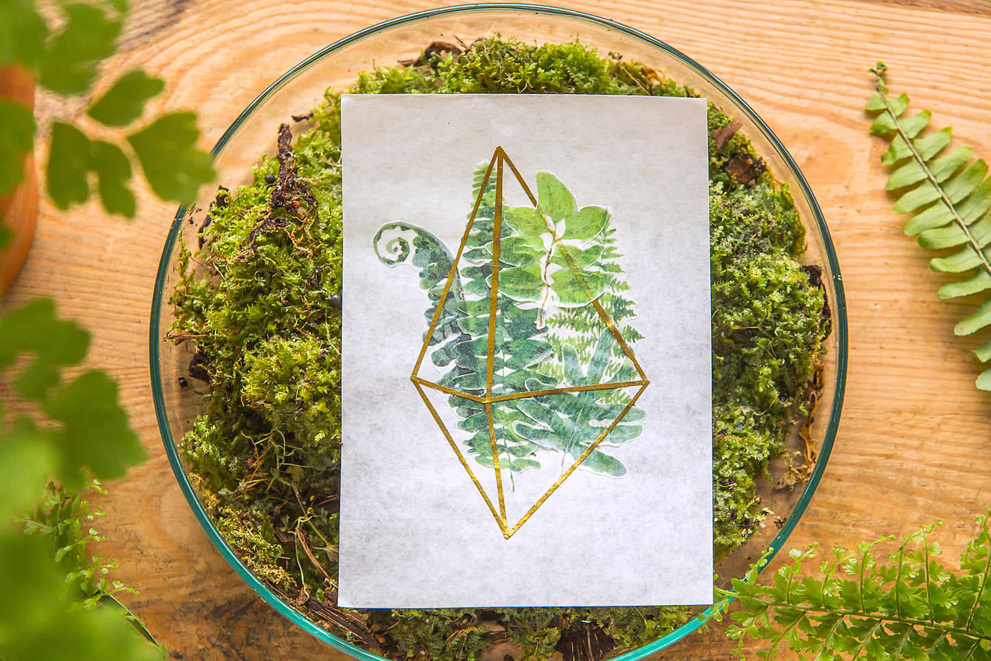 OURS Studio Fern Washi Masking Tape Roll and Samples