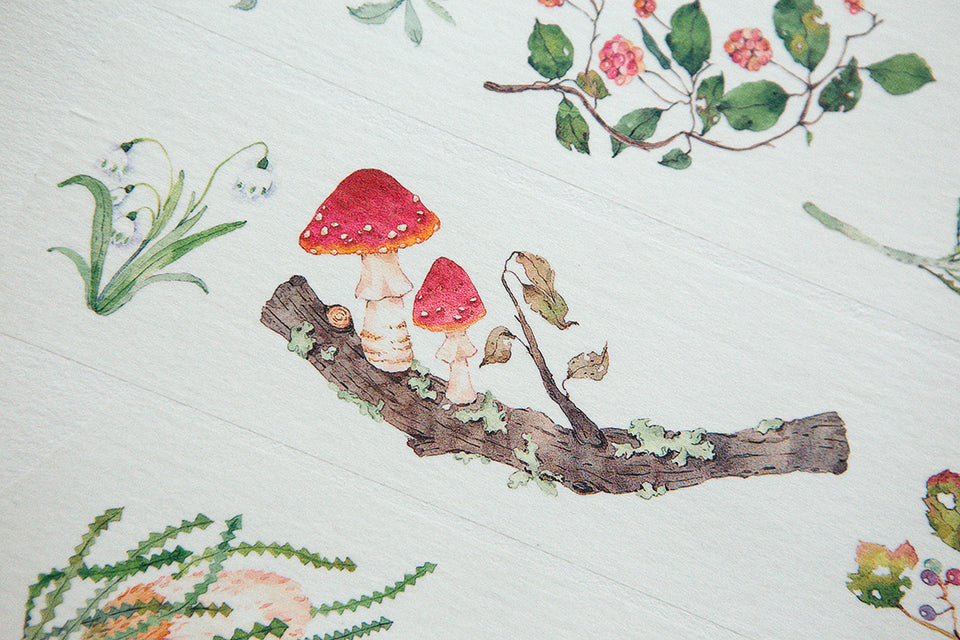 [SAMPLE ONLY] OURS Studio Wild wreath 2 Washi Tape