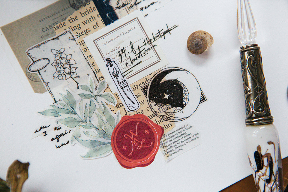 OURS Studio Museum Washi Tape Sample and Full Roll