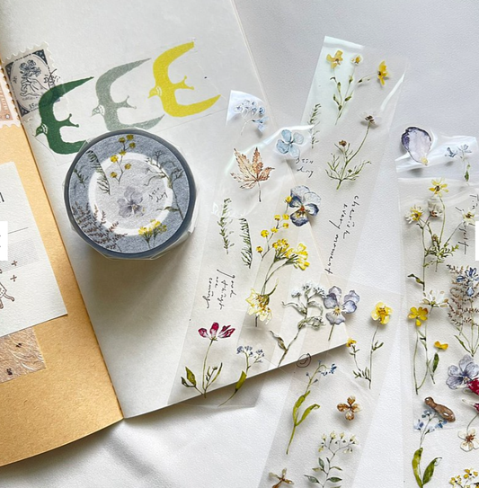 Pion Embossed Manuscript PET Masking Tape Sample and Full Roll