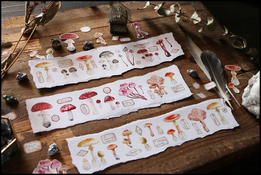 linchianing Red/Yellow Fungus Tape Sample and Full Roll