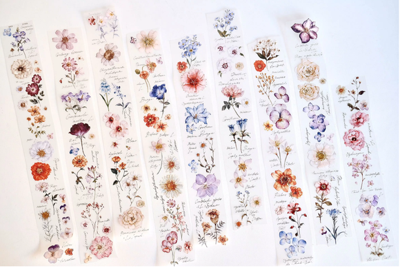 Freckles Tea Flower Illustration PET Tape Samples and Full Roll